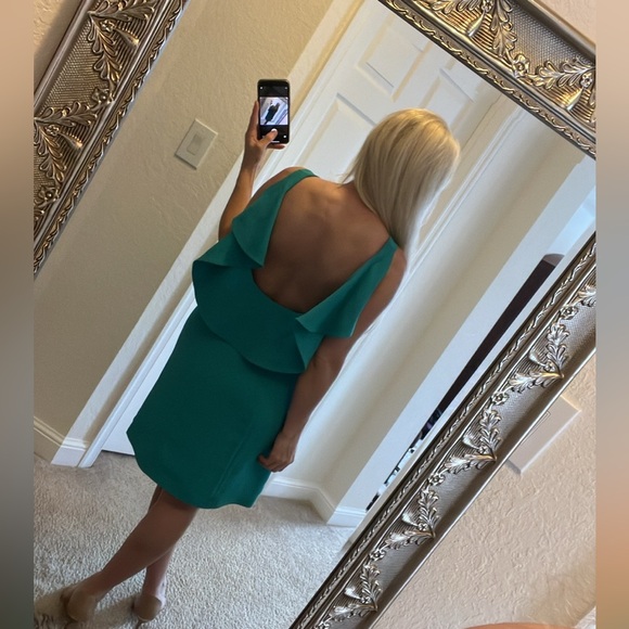 RACHEL Rachel Roy Dresses & Skirts - 🪷RACHEL RACHEL ROY 🪷 beautiful Atlantis dress with golden zipper and open back .